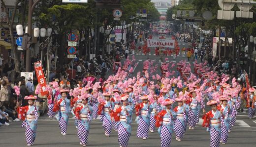 福岡市民にとっての「どんたく」と「山笠」の違い（※いち福岡市民の私見です）