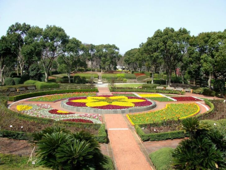 福岡市植物園の広場