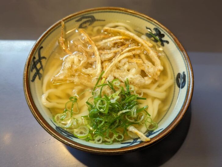 まことうどんのごぼう天うどん