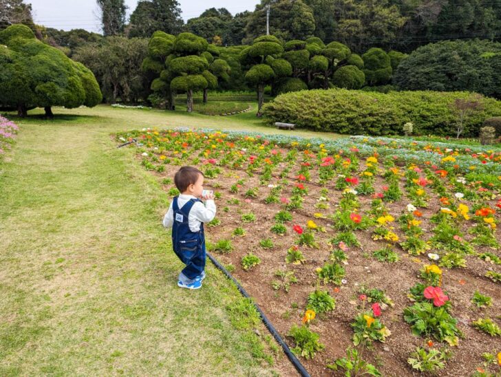 小さい子供にはなかなか難易度の高い急坂もあるので十分ご注意ください