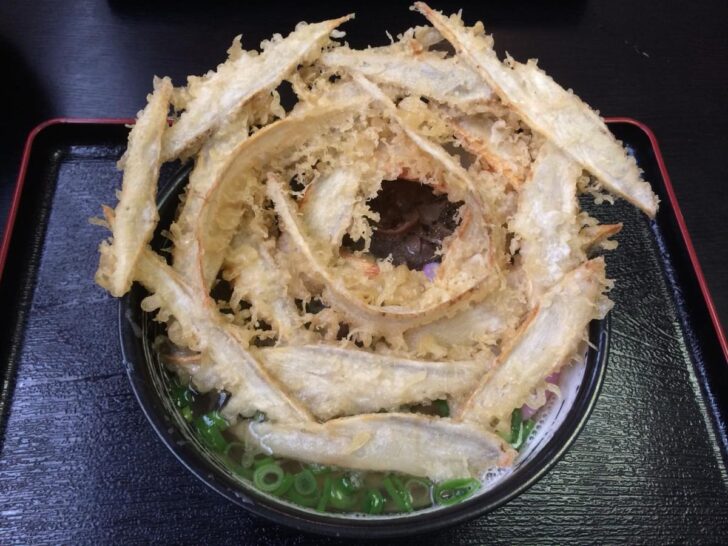 大地のうどんのごぼ天うどん