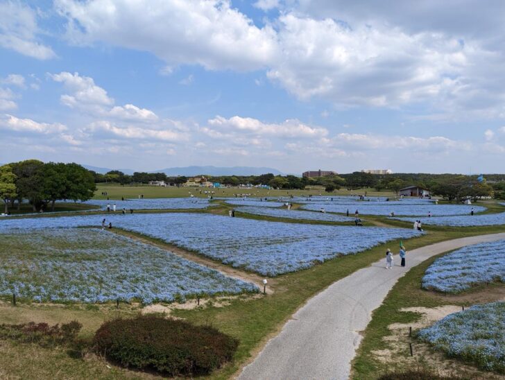 海の中道海浜公園