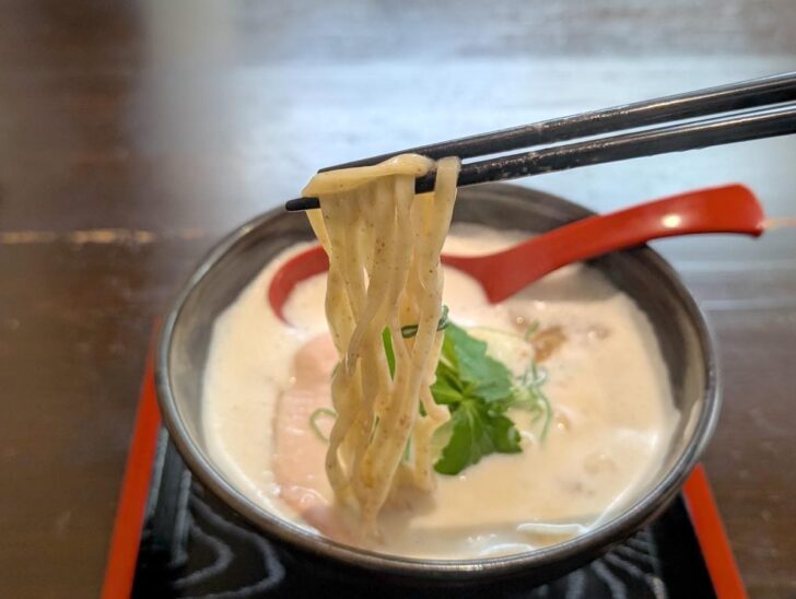 福岡の老舗製麺所・青木食産製の全粒粉平打ち麺