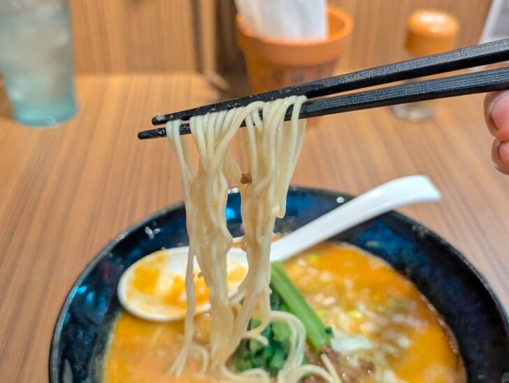 麺は博多らしい細麺