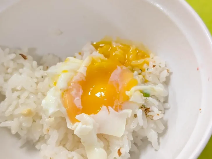 ご飯に乗せて食べた